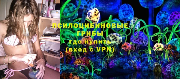 твердый Арсеньев