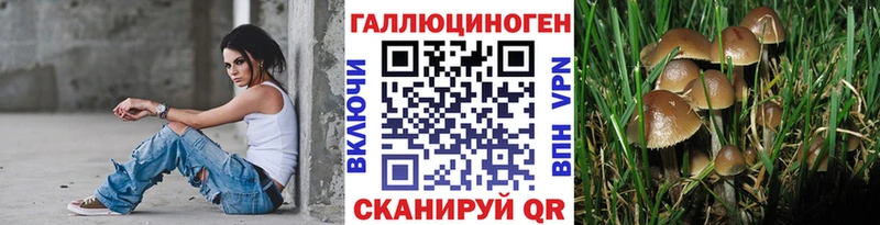 Галлюциногенные грибы Magic Shrooms  как найти наркотики  Славгород 